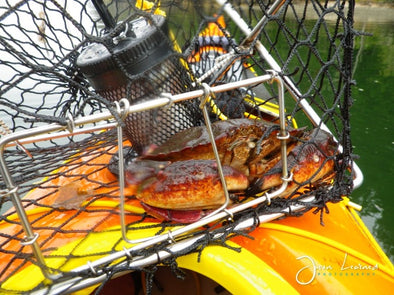 SEA SNACKS FOR SEA KAYAKERS